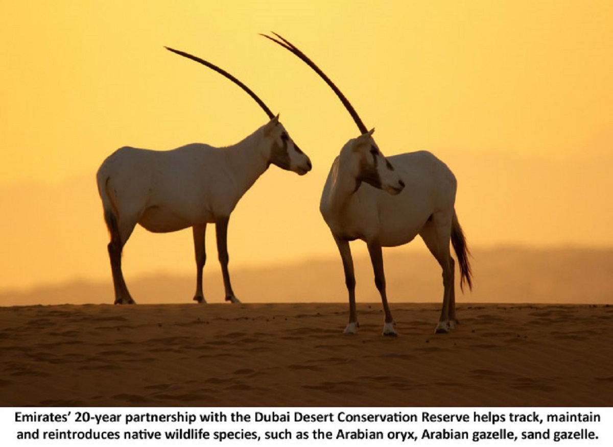 Emirates reaffirms its green commitment on World Environment Day 2020