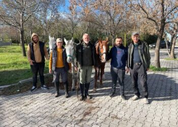 Abdelkader Harkassi, Abdallah Hernandez and Tariq Rodriguez are fulfilling a long-held ambition by completing a historic Hajj pilgrimage on horseback.
